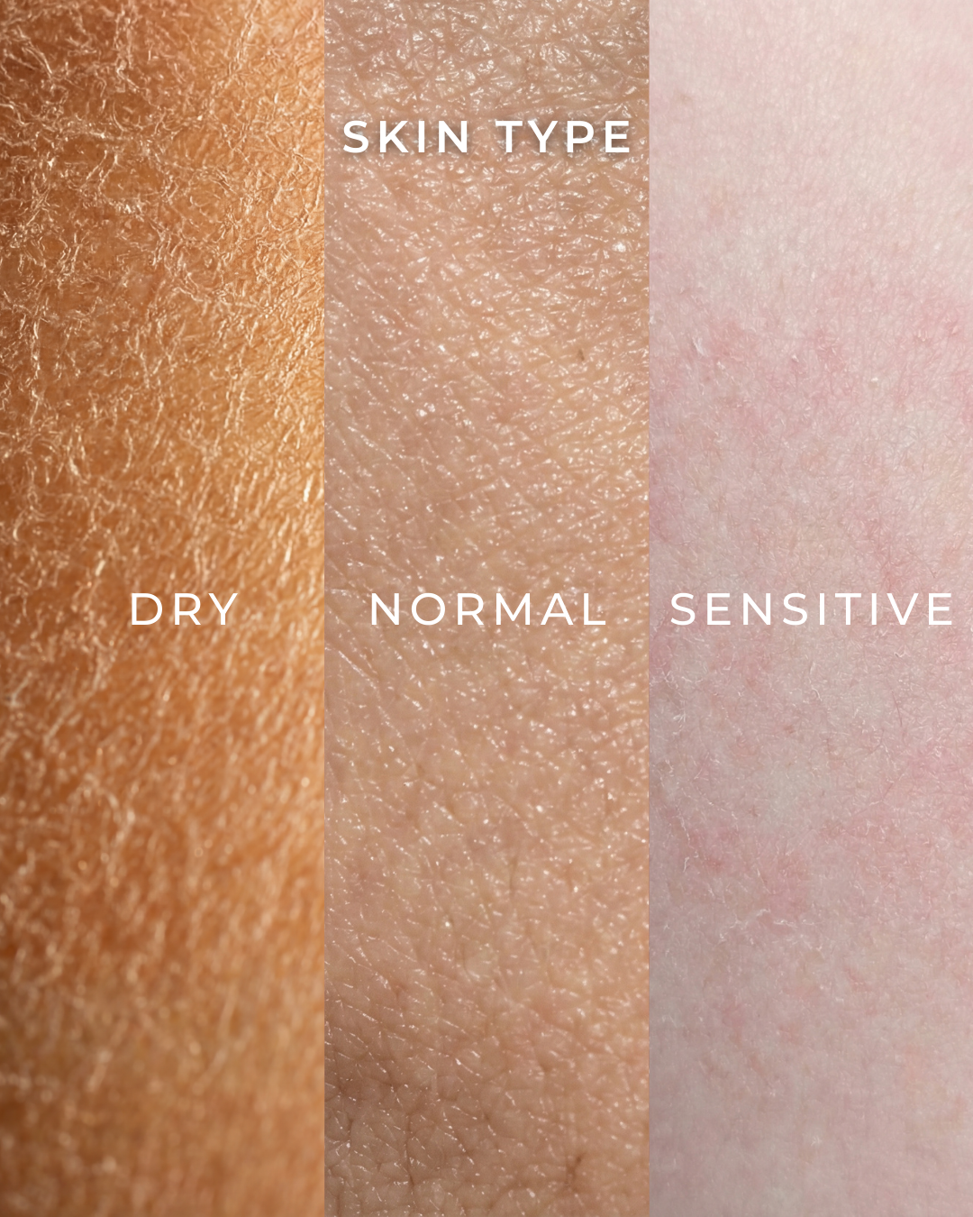 The Ampoule | Hyalu-Cica